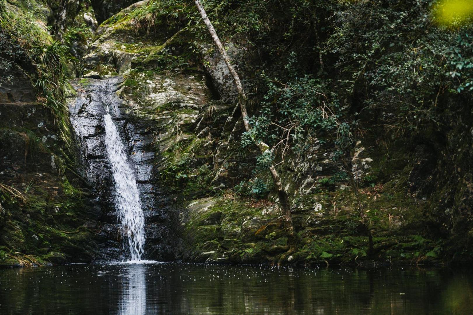 Moonshine On Whiskey Creek Vila The Crags Exterior foto