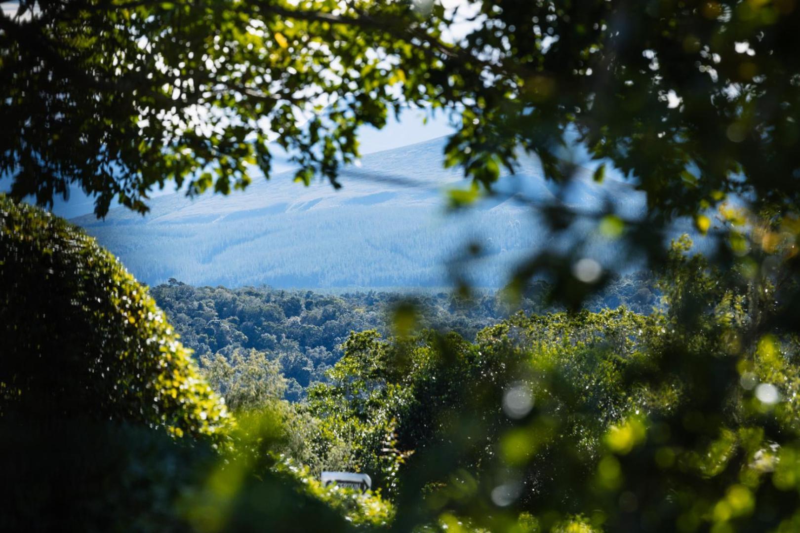 Moonshine On Whiskey Creek Vila The Crags Exterior foto