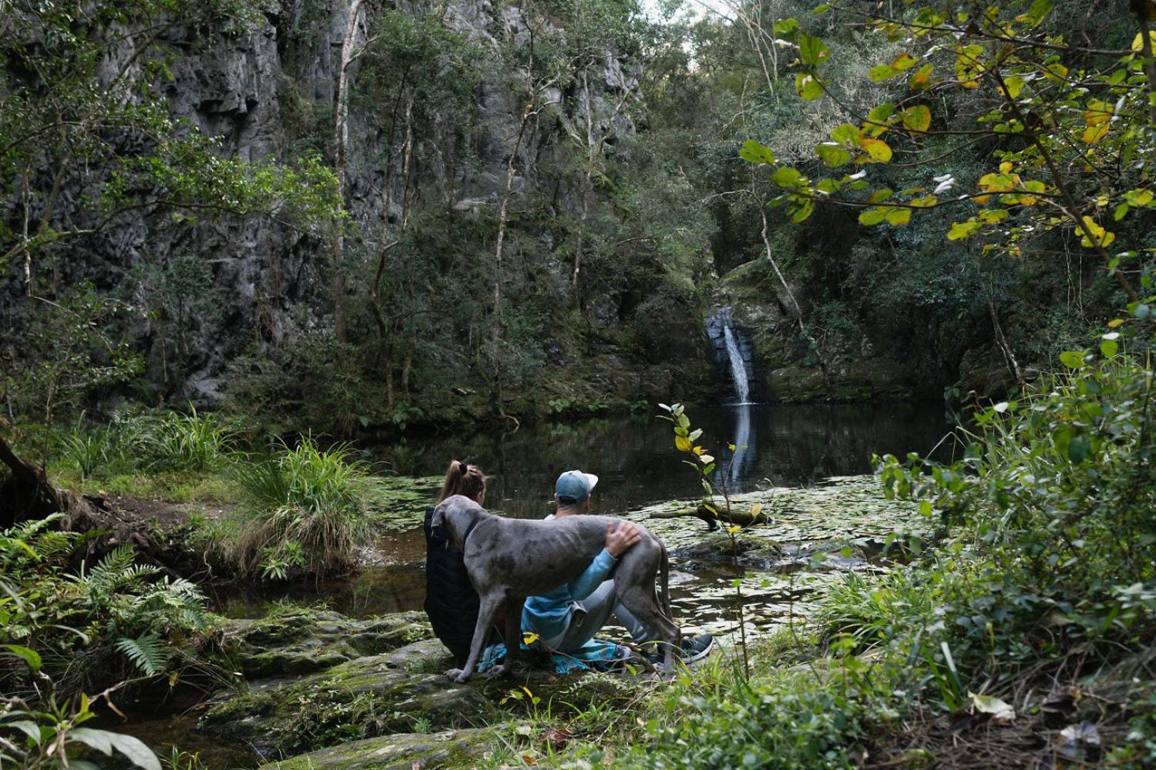 Moonshine On Whiskey Creek Vila The Crags Exterior foto