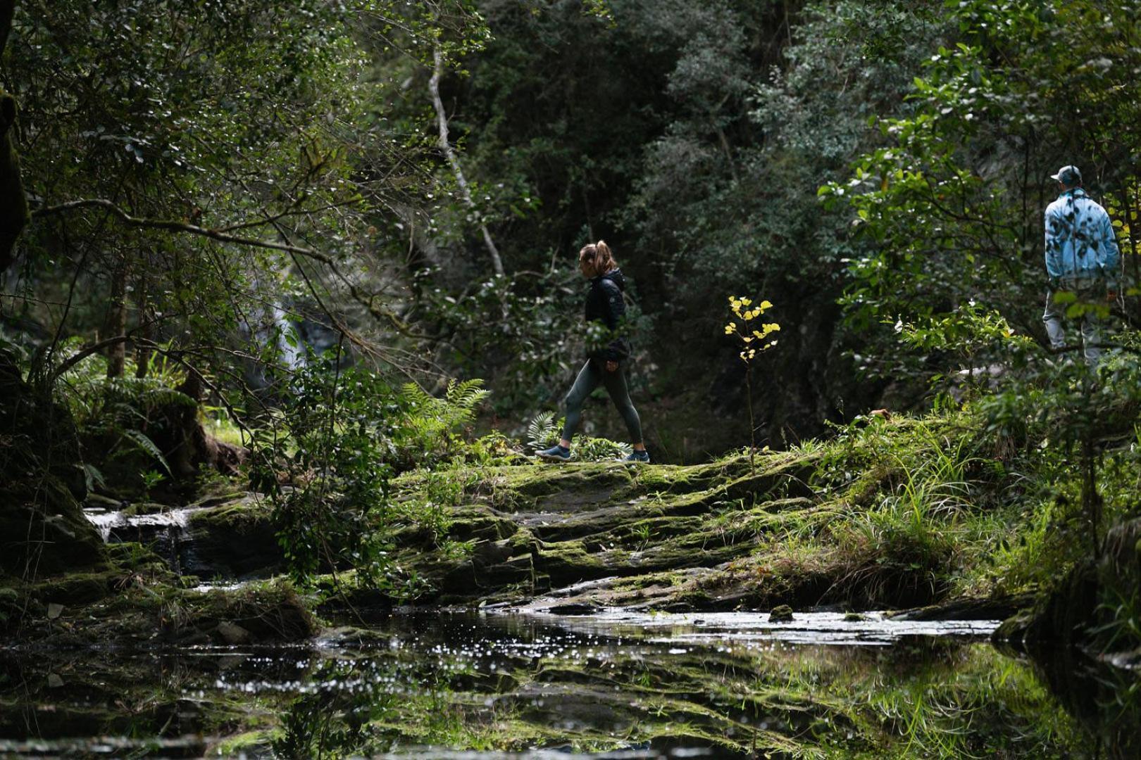 Moonshine On Whiskey Creek Vila The Crags Exterior foto