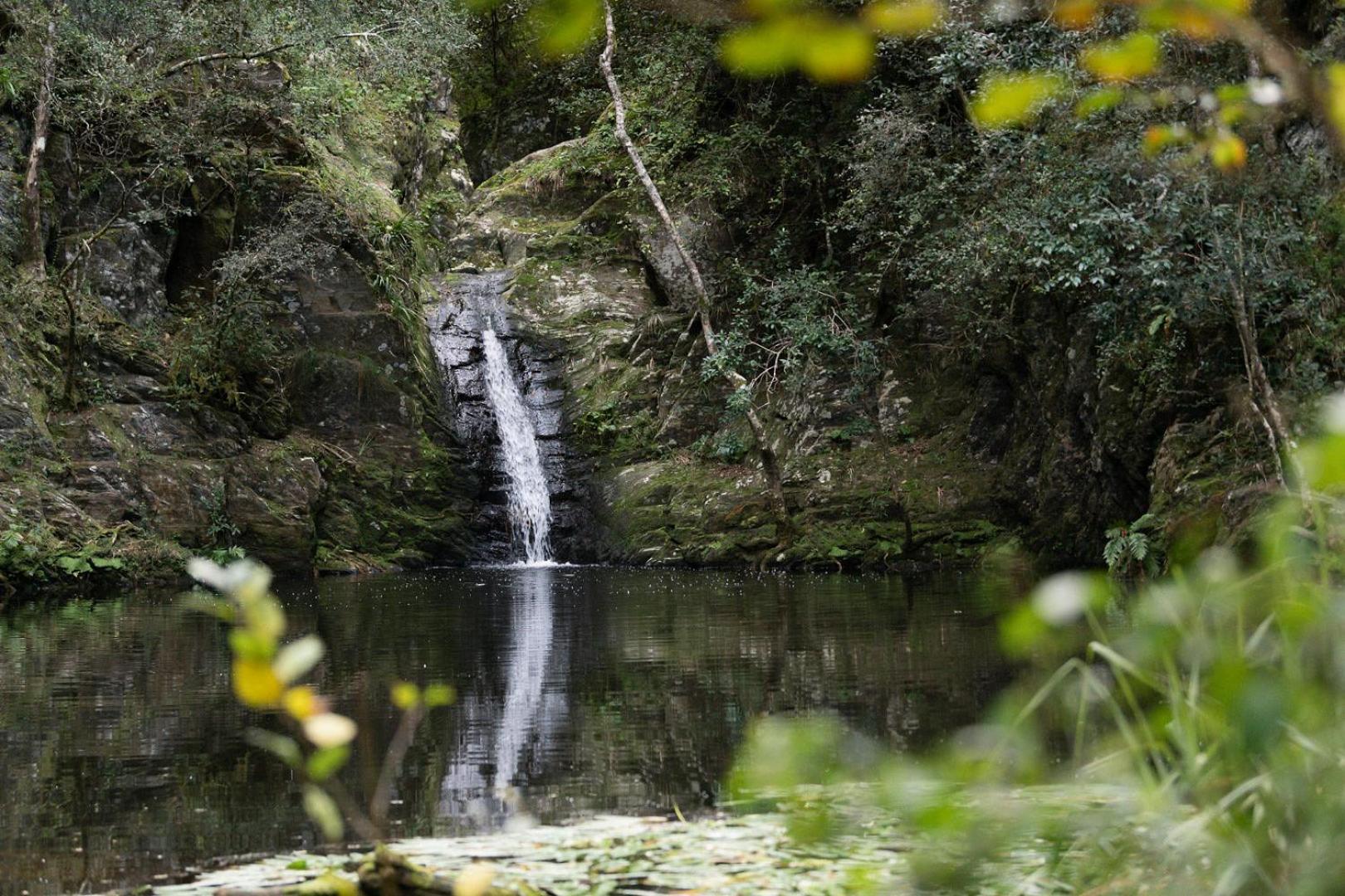 Moonshine On Whiskey Creek Vila The Crags Exterior foto